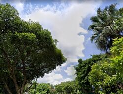 Raffles Park (D11), Detached #458902561